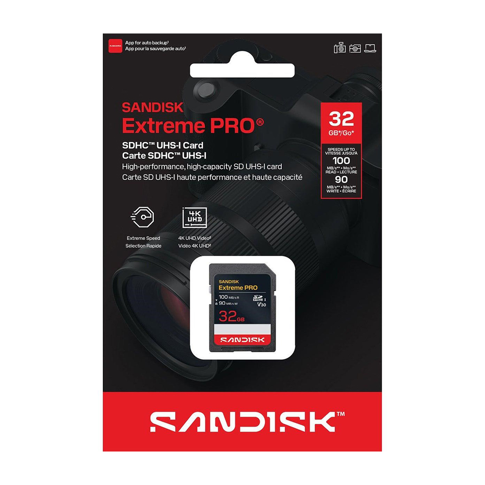 SanDisk SD card, , large