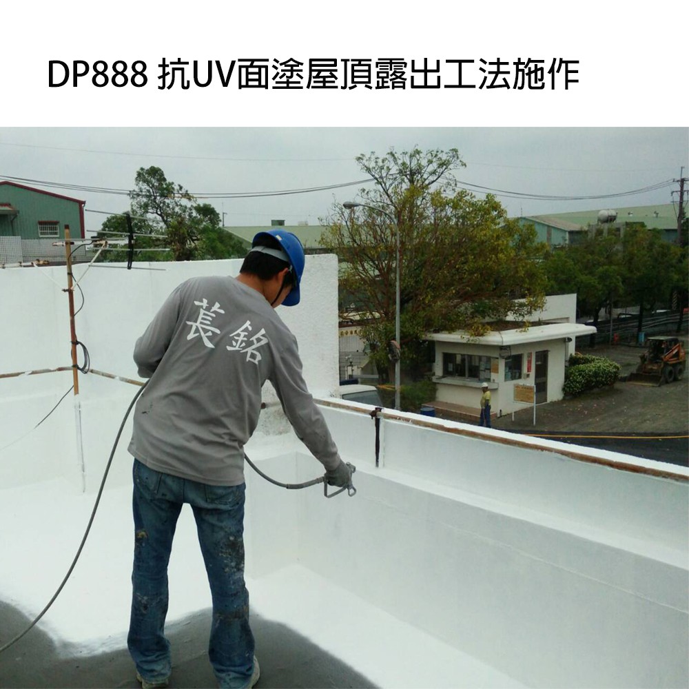 DP888 20kg 綠色, , large