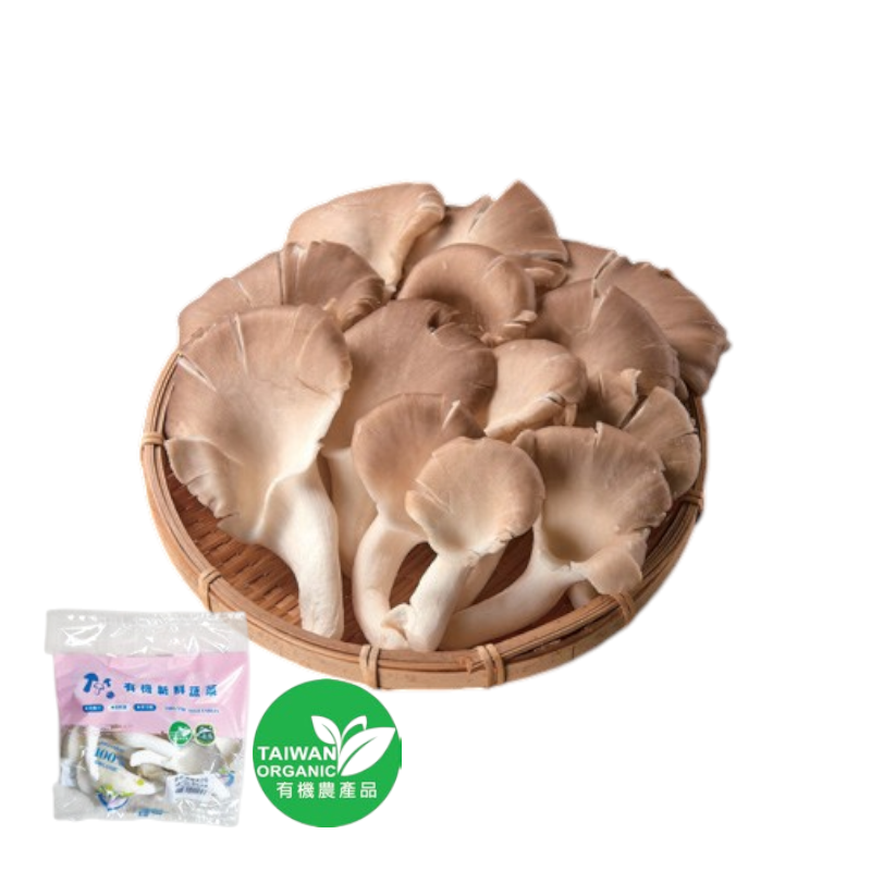Organic Oyster Mushroom, , large