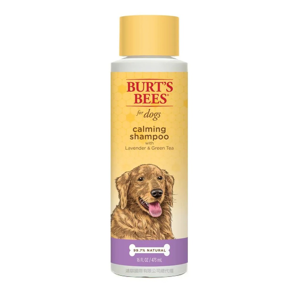 【PawHomie】Burt's Bees薰衣草茶花安神沐浴露（犬用）, , large