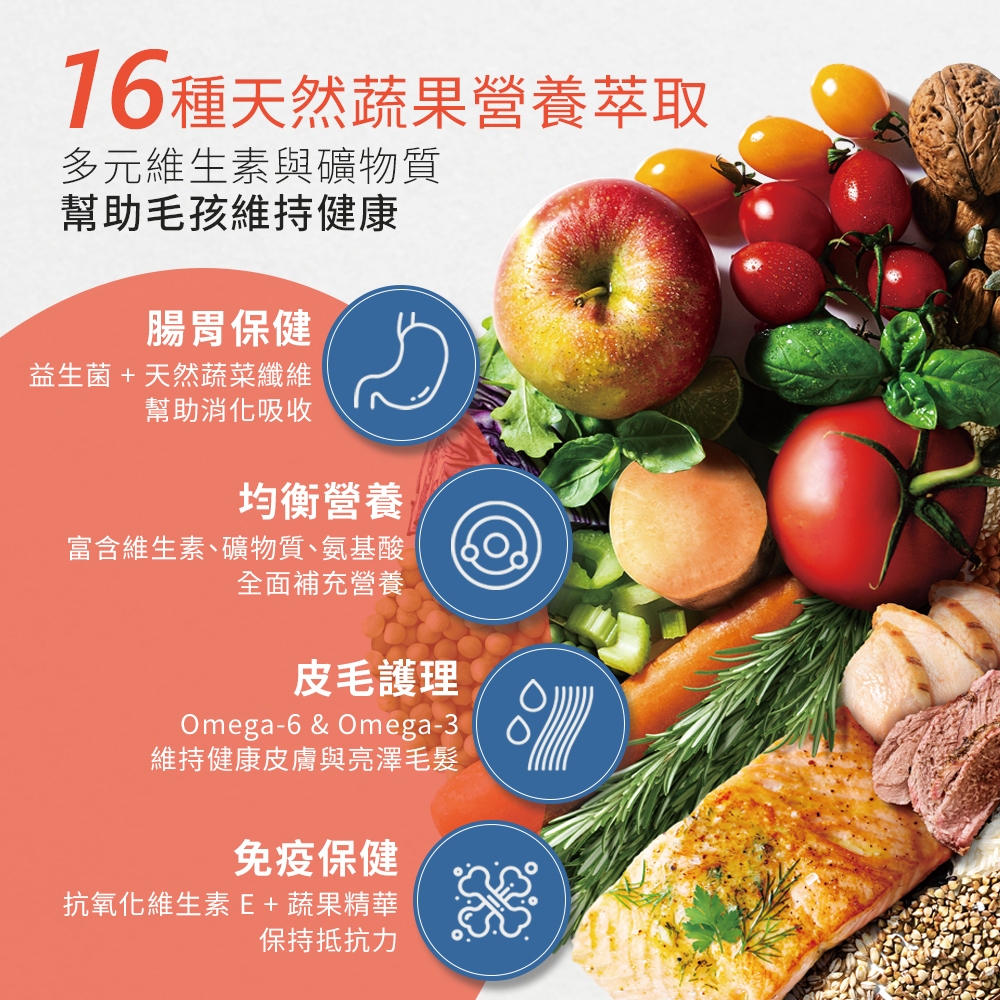 【拉拉寵物小舖】美國 心靈雞湯 貓飼料 經典系列 有穀 低敏 天然糧 WDJ推薦, , large