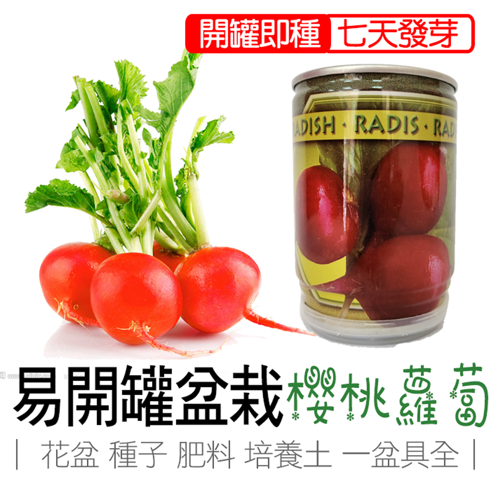 【心安購物】iPlant易開罐盆栽-櫻桃蘿蔔, , large