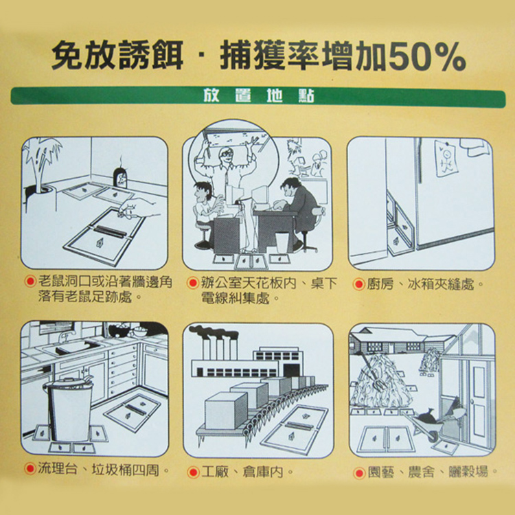黏鼠寶超大型奶酪香黏鼠板-2入-6組, , large