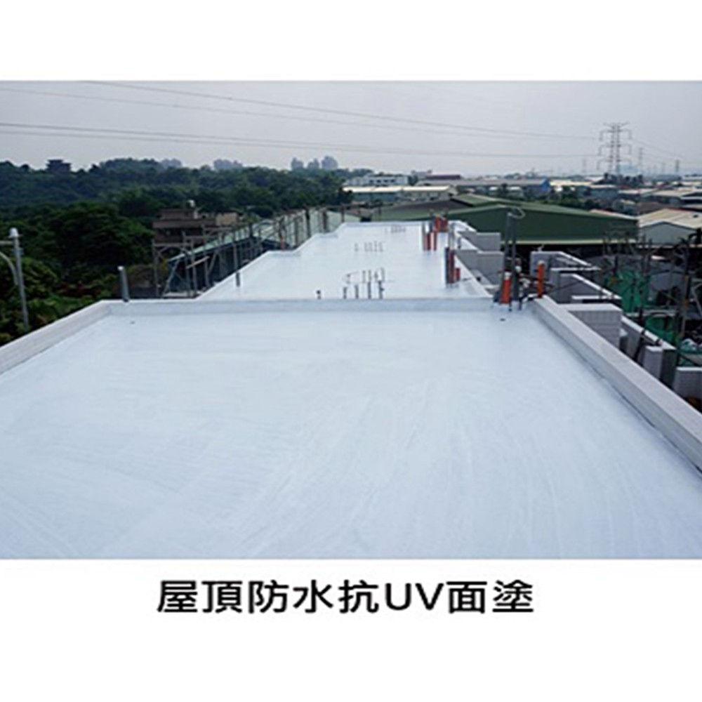 DP888 20kg 綠色, , large