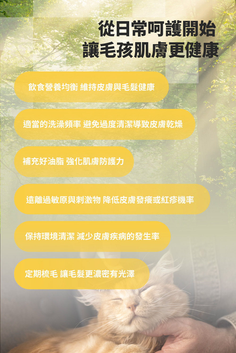 【GOMO PET FOOD】光澤毛流/全齡貓無穀低敏美膚亮毛配方1.5kg 貓飼料 貓糧, , large