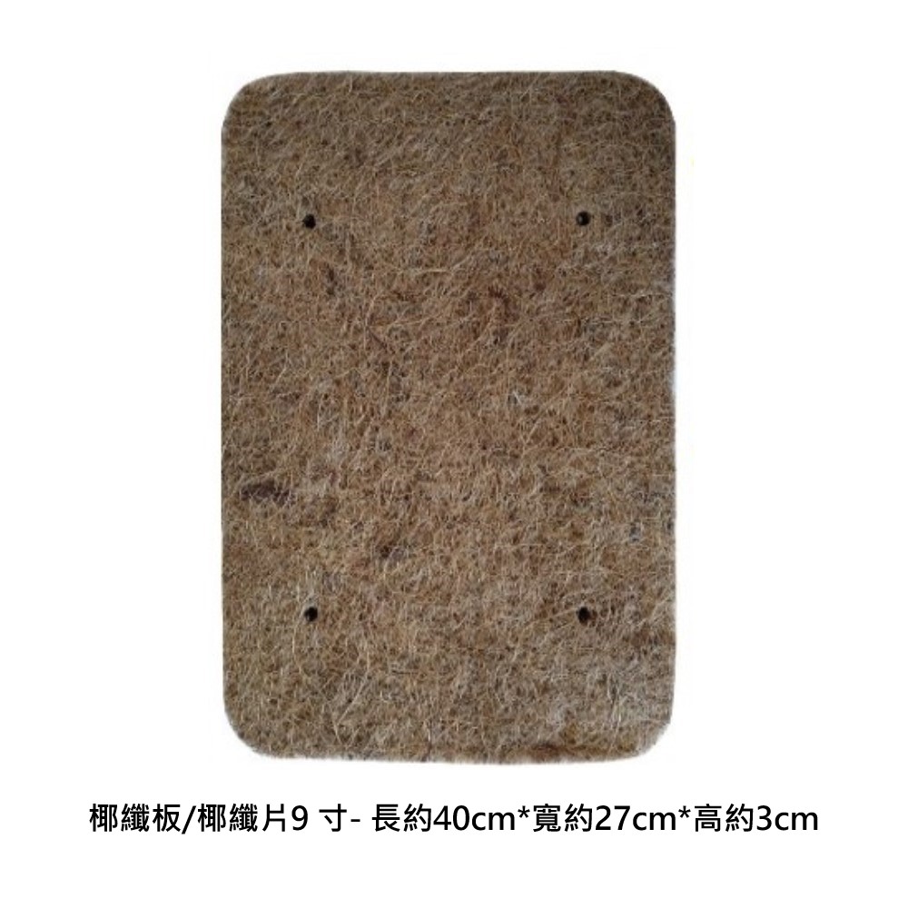 scoirfibre board 9 inch, , large