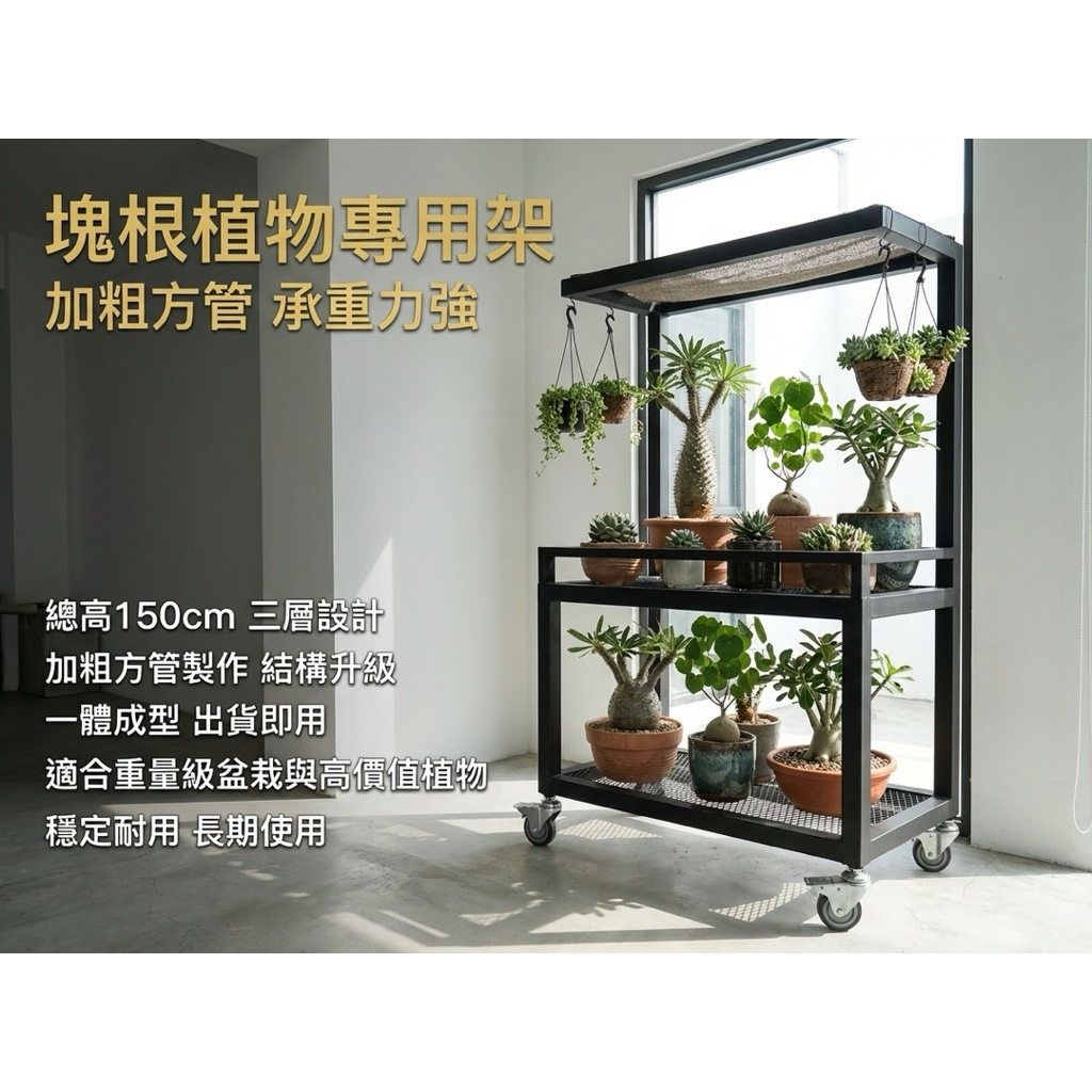 【 SHAONIANNA.TW 】塊根植物架｜加粗方管鐵製一體成型｜菱格網植物架・花架｜工業風消光黑展示鐵架, , large