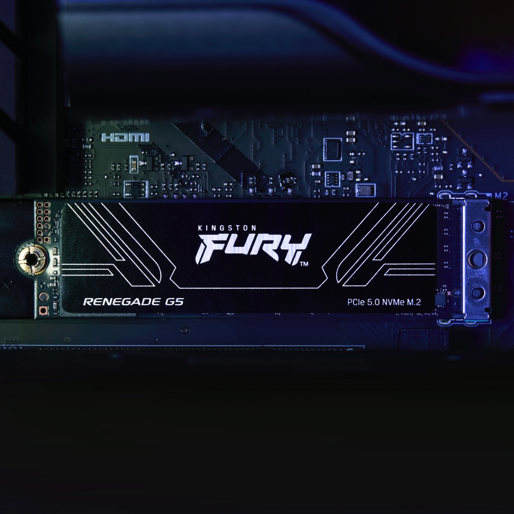 【Kingston】金士頓 2TB FURY Renegade G5 PCIe 5.0 NVMe M.2 2280 代理商公司貨, , large