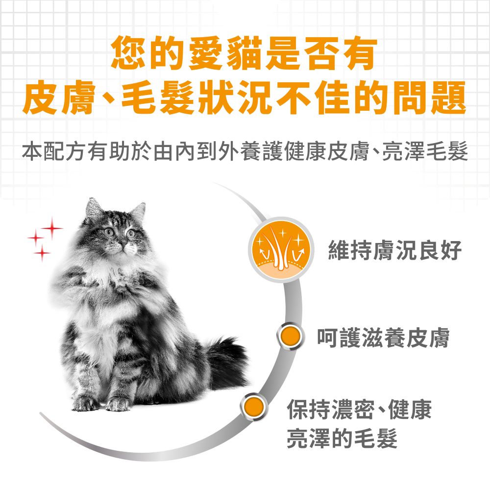 【拉拉寵物小舖】法國皇家 貓主食餐包 HS33W 亮毛貓主食濕糧 貓主食濕糧, , large