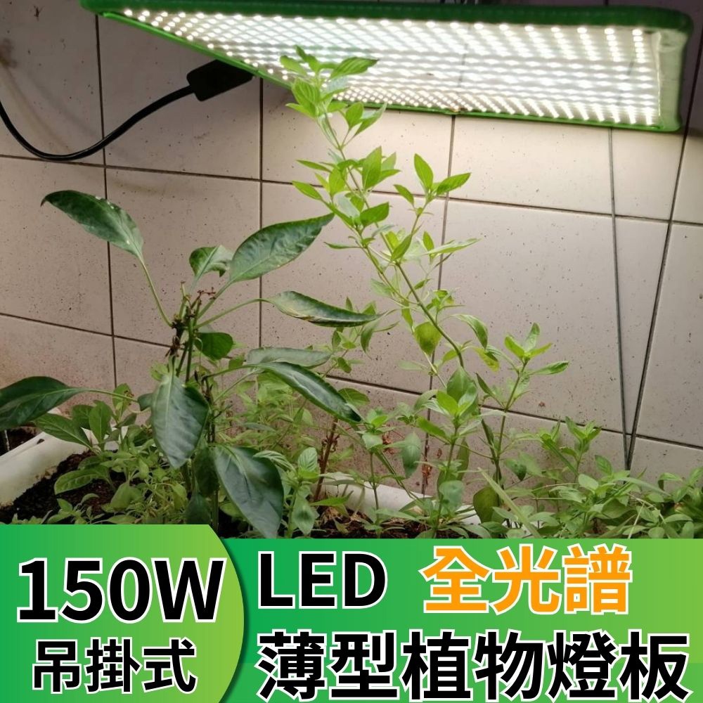 【君沛植物燈】LED植物燈150瓦 量子板 植物燈板 全光譜 led燈板, , large