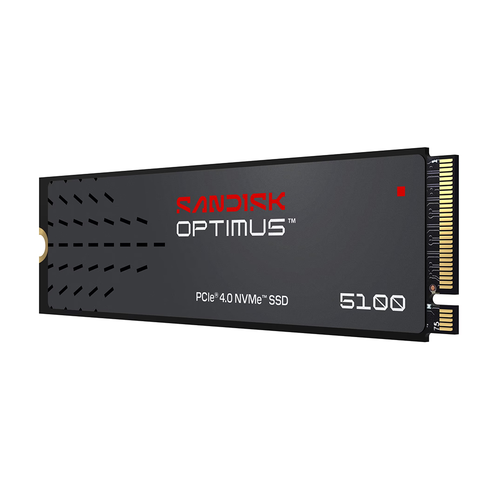 【SanDisk】Optimus 5100 NVMe 4TB SSD M.2 2280 代理商保固公司貨, , large