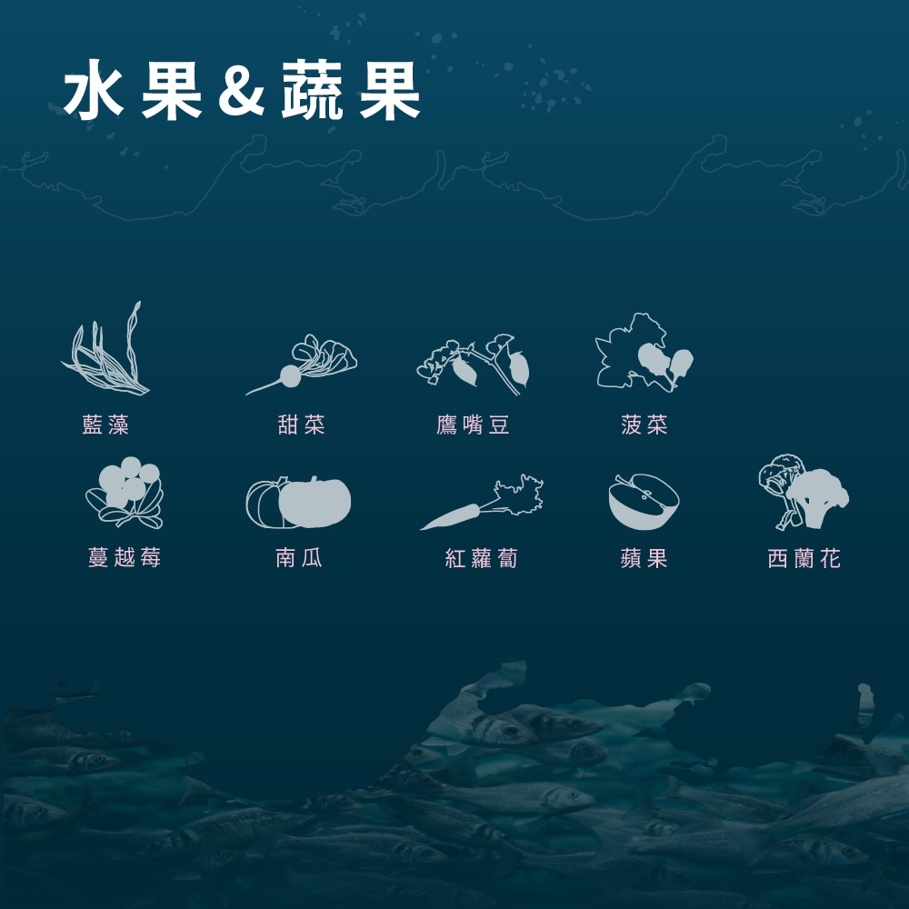 【Allando 奧藍多】無榖貓糧雞肉+火雞肉+鴨肉1.2KG(全齡貓/貓飼料/貓糧), , large