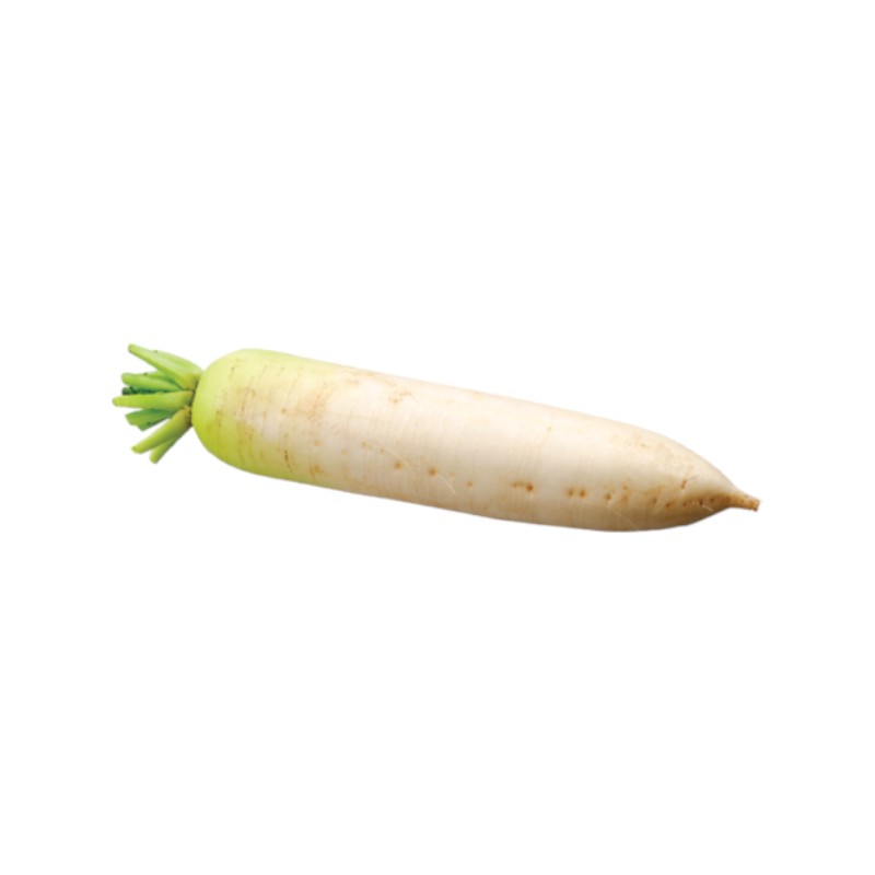 Japan Radish, , large