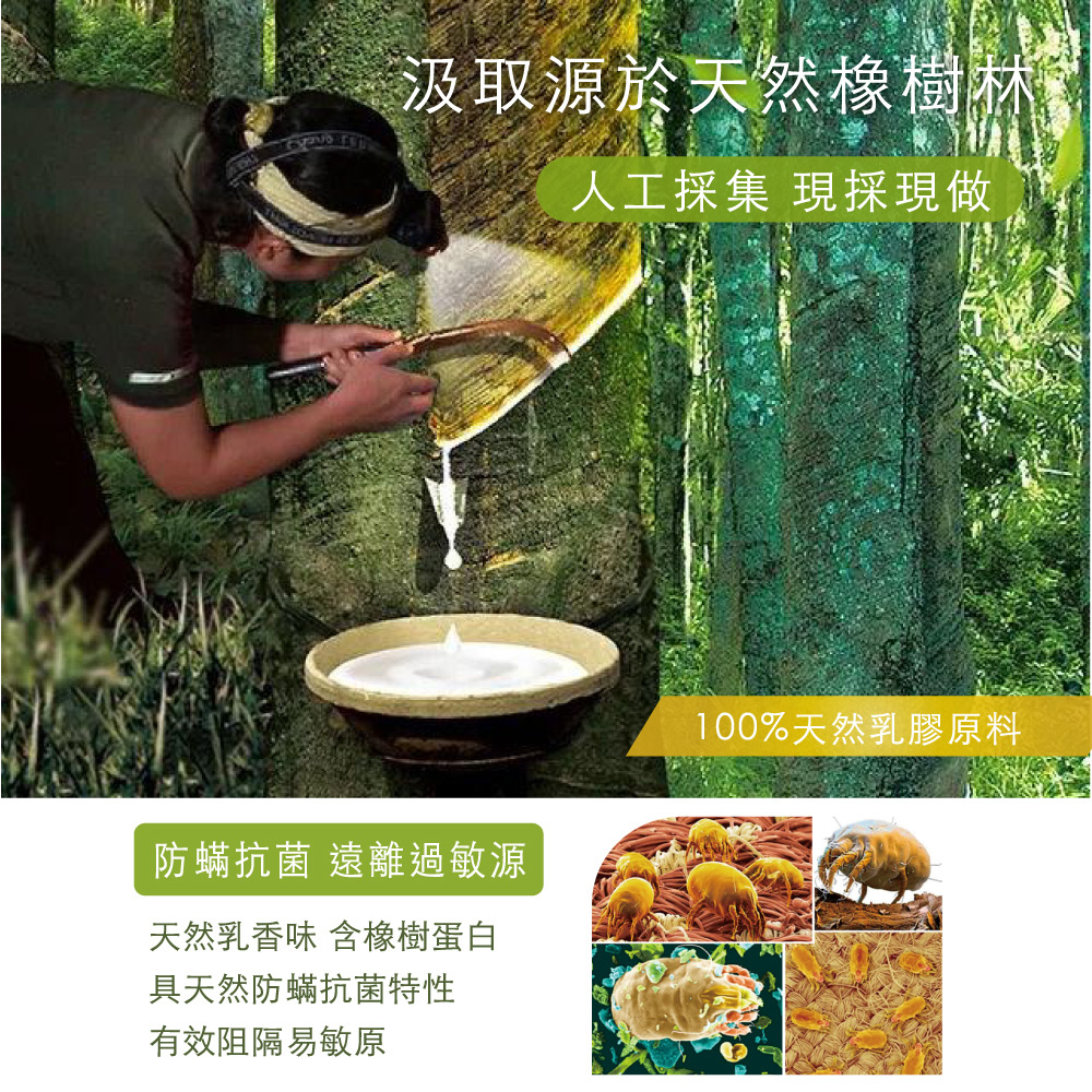 【Arnold Palmer雨傘牌】透氣立體結構棉網乳膠枕 買一送一, , large