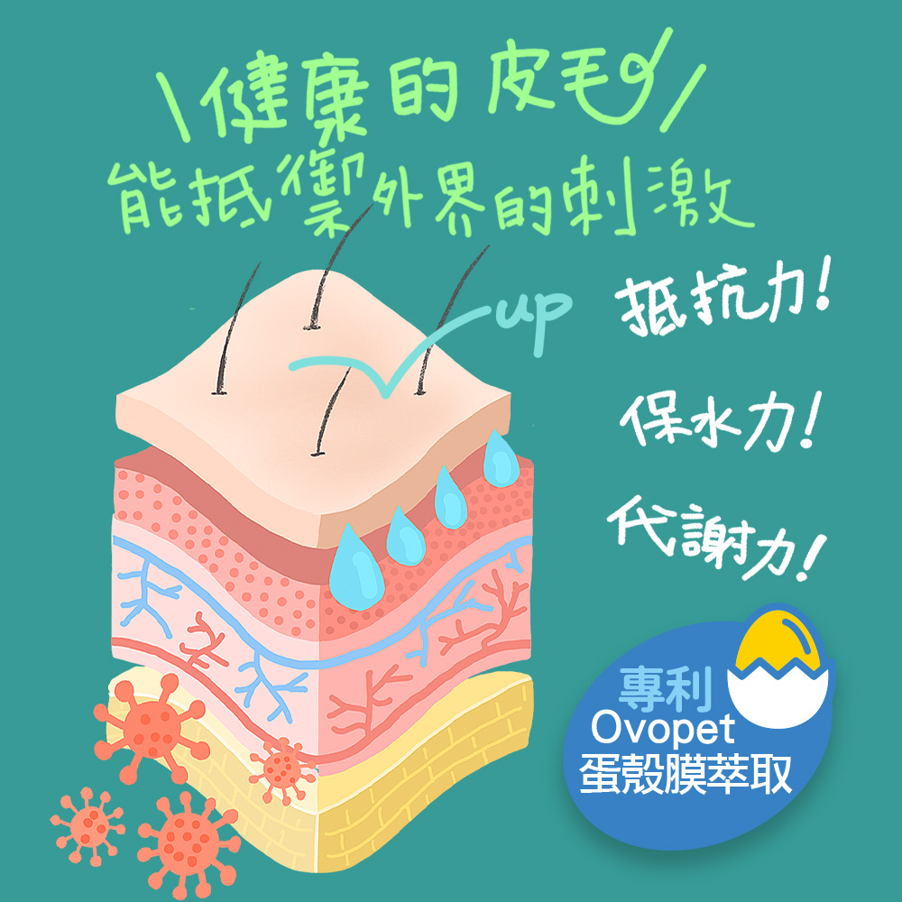 【IN-Plus】蛋殼膜卵磷脂 護膚亮毛配方300顆/罐(全齡犬/寵物保健/皮膚保健), , large