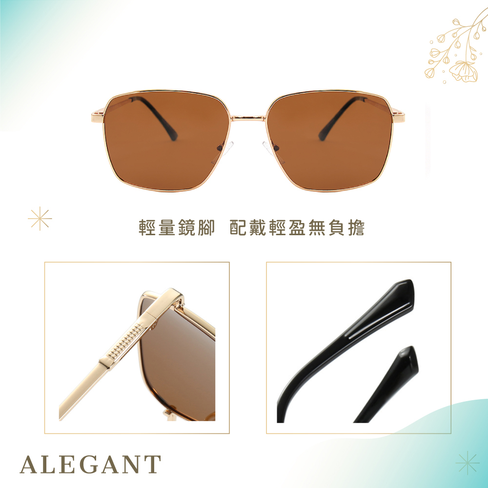 中性時尚陽采棕寶麗來偏光太陽眼鏡/UV400墨鏡〔ALEGANT〕, , large