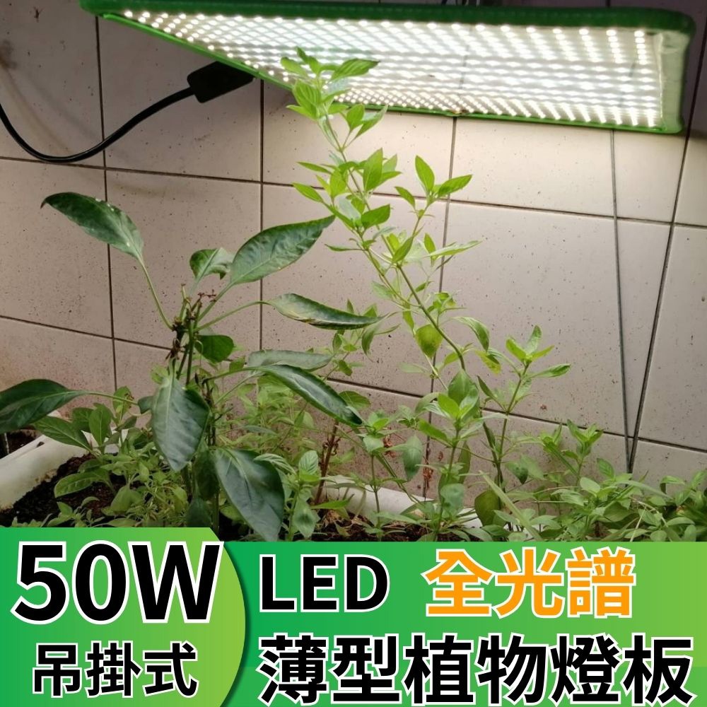 【君沛植物燈】LED植物燈 LED50W薄型植物燈板 50瓦吊掛式植物燈 仿日照陽光植物燈全光譜 高演色性生物舒適光, , large