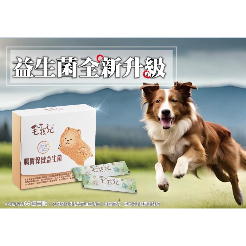Maohaier gastrointestinal health probiotic powder package, , large
