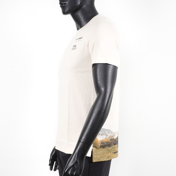 HE5252, , large