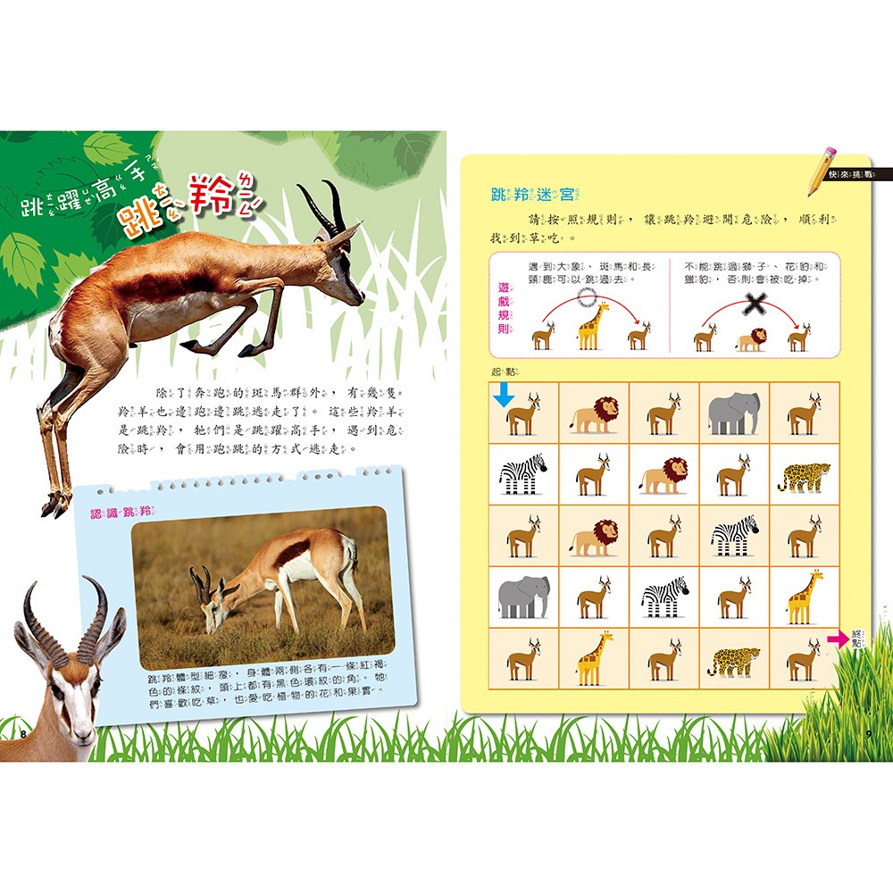 [小牛頓]PLAY&LEARN：草原冒險 適合5-8歲 平裝全彩 高階遊戲書, , large