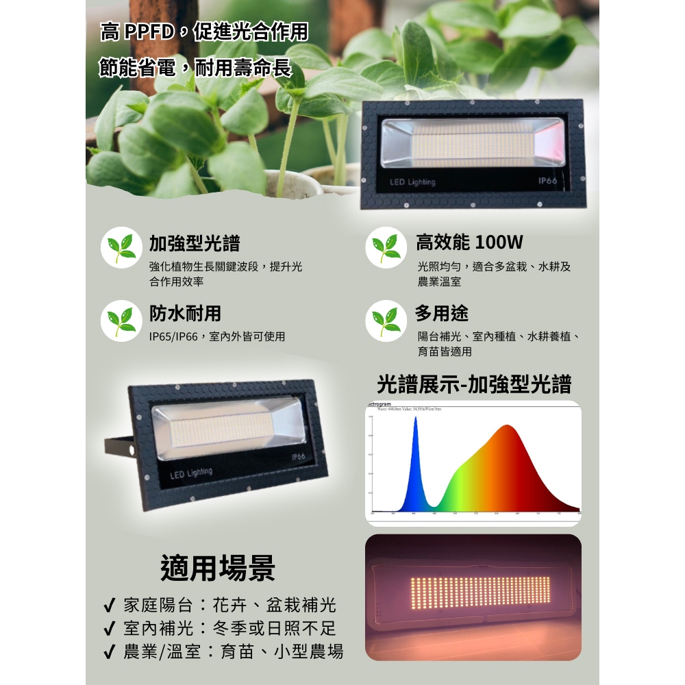 【君沛】加強型光譜 100W功率 抑制徒長 誘導顯色 壓鑄投射燈 防水防潮 居家陽台 龍舌蘭 多肉控型 大面積專業補光, , large