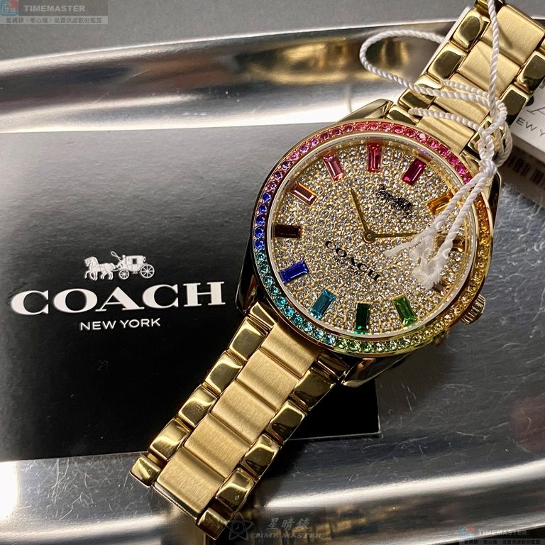 [星晴錶業]COACH手錶,36mm,CH00136糖豆錶面彩色錶殼金色精鋼錶帶款, , large