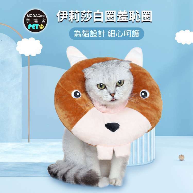 PET TOYS, , large