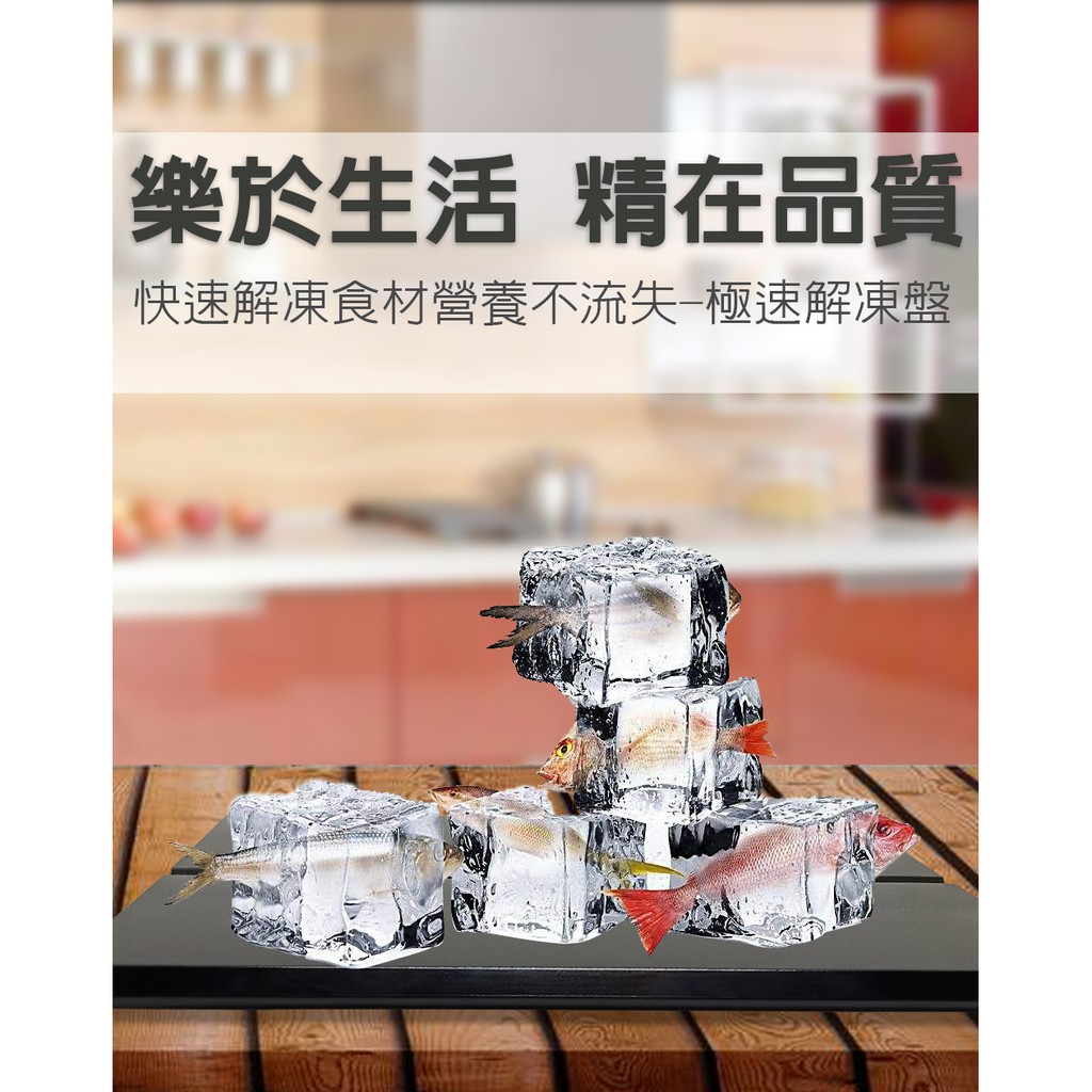 GS MALL 台灣製造 一入 急速解凍盤 解凍盤 解凍板 急速盤 解凍器 快速解凍板 解凍料理 料理解凍盤, , large