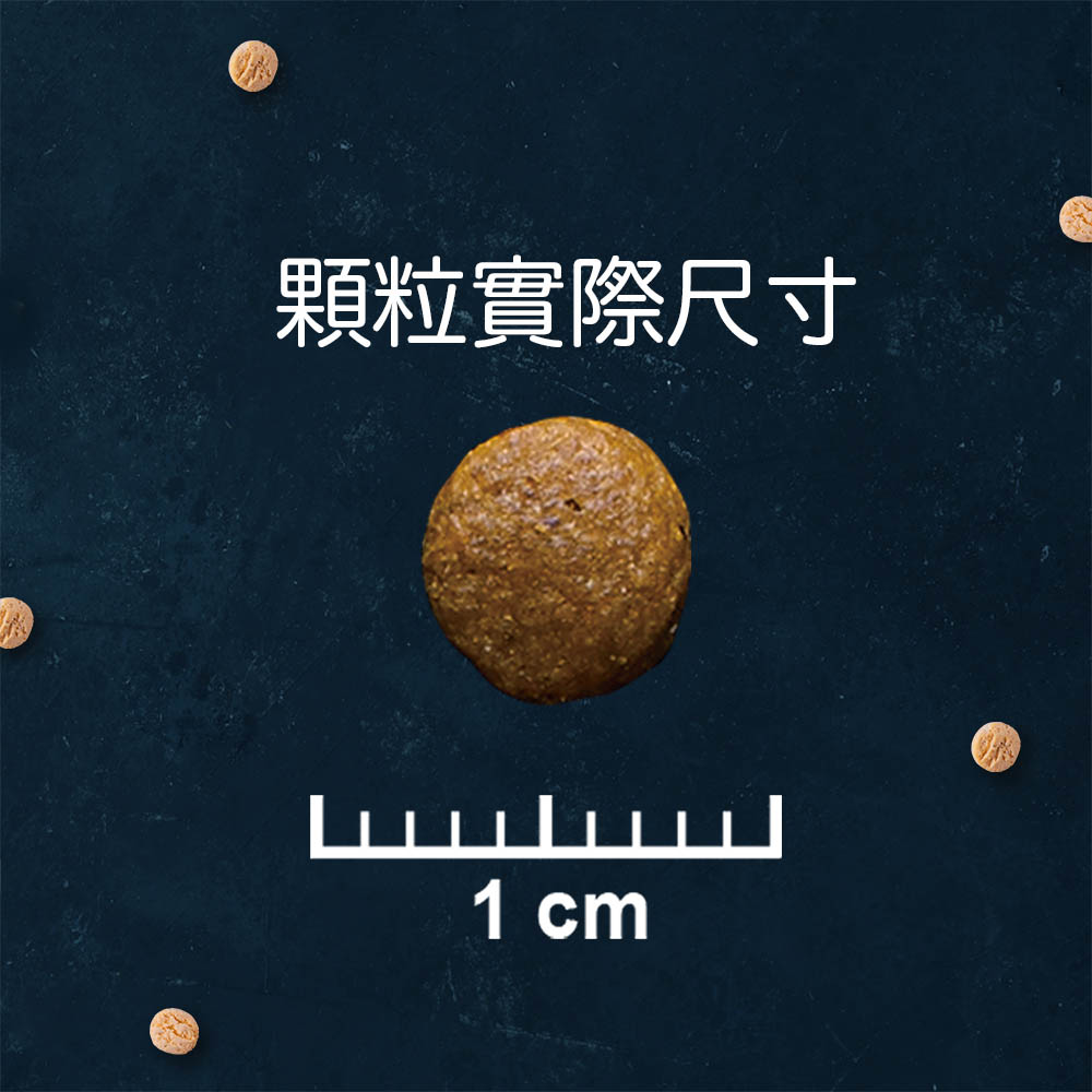 【TAPAZO 特百滋】凍乾雙饗宴 2磅 成幼貓/熟齡貓/成貓 低敏配方貓飼料 貓乾糧 凍乾飼料(貓糧/無穀), , large