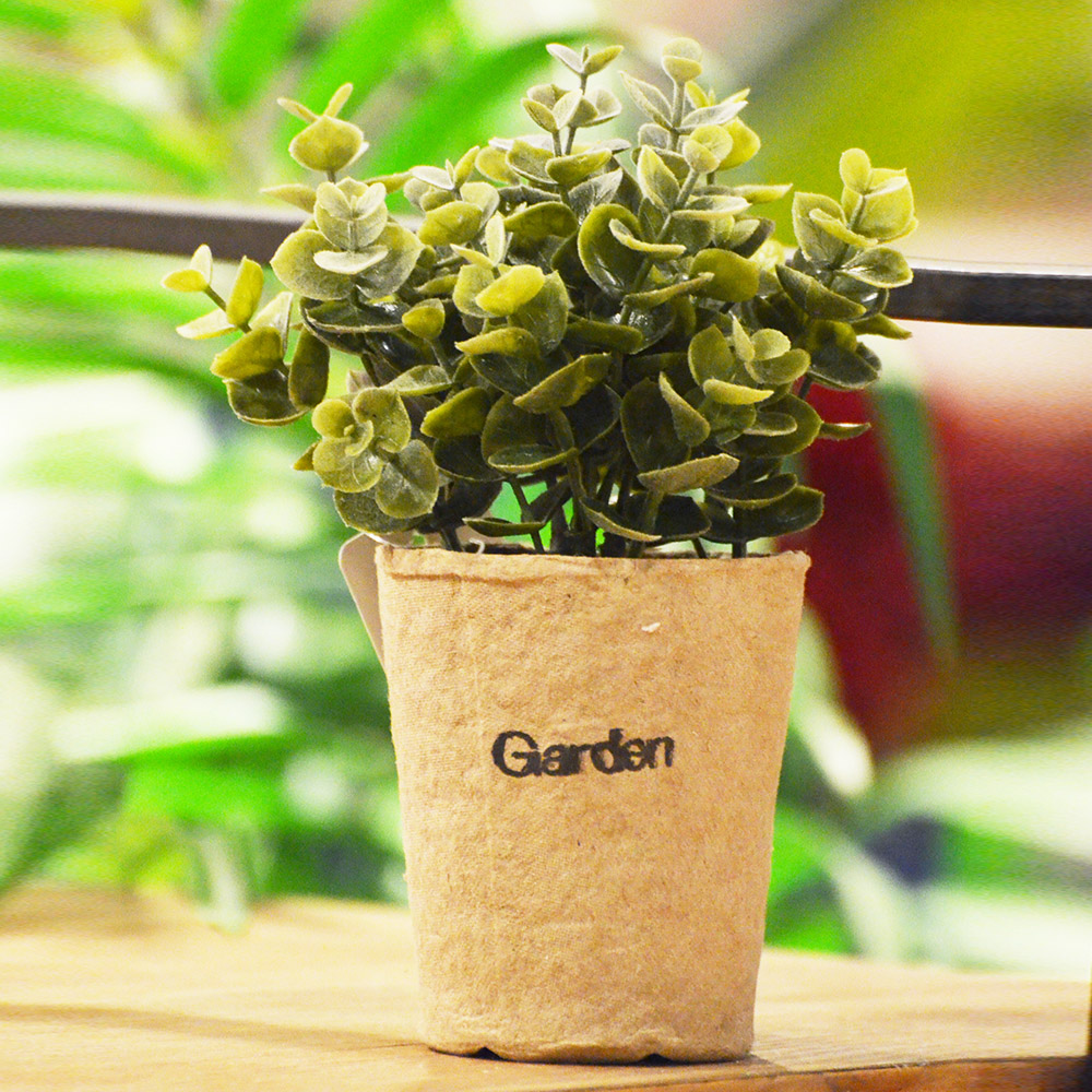 【YU Living】迷你仿真小清新綠色植物裝飾盆栽-金錢木, , large