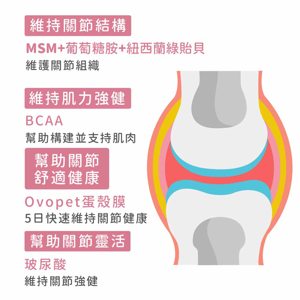 【IN-Plus】關節保健 MSM強化舒緩蛋殼膜配方30顆/罐(全齡犬/狗關節/寵物保健), , large