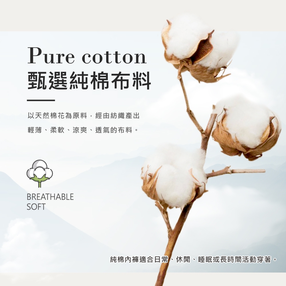 【伊柔 EVEROY】經典舒適純棉高腰提臀內褲 M-2XL/Q加大尺碼內褲 9816-91 紫色, , large