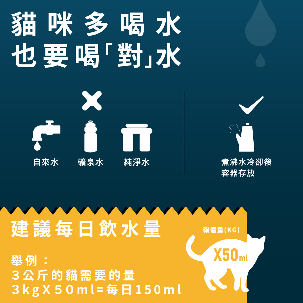 【Allando 奧藍多】無榖貓糧雞肉+火雞肉+鴨肉400gX2包組(全齡貓/貓飼料/貓糧), , large