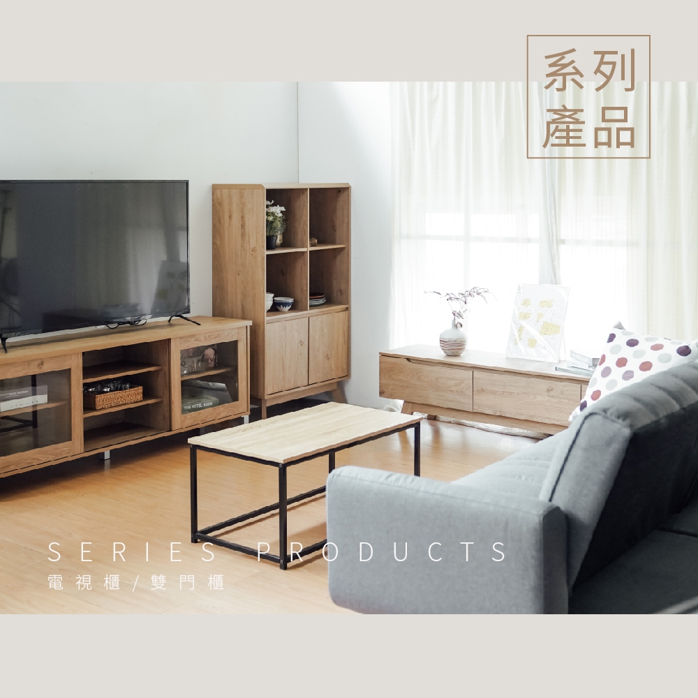 收納櫃 置物櫃 收納櫃 櫥櫃 書櫃 TV170, 原木色, large