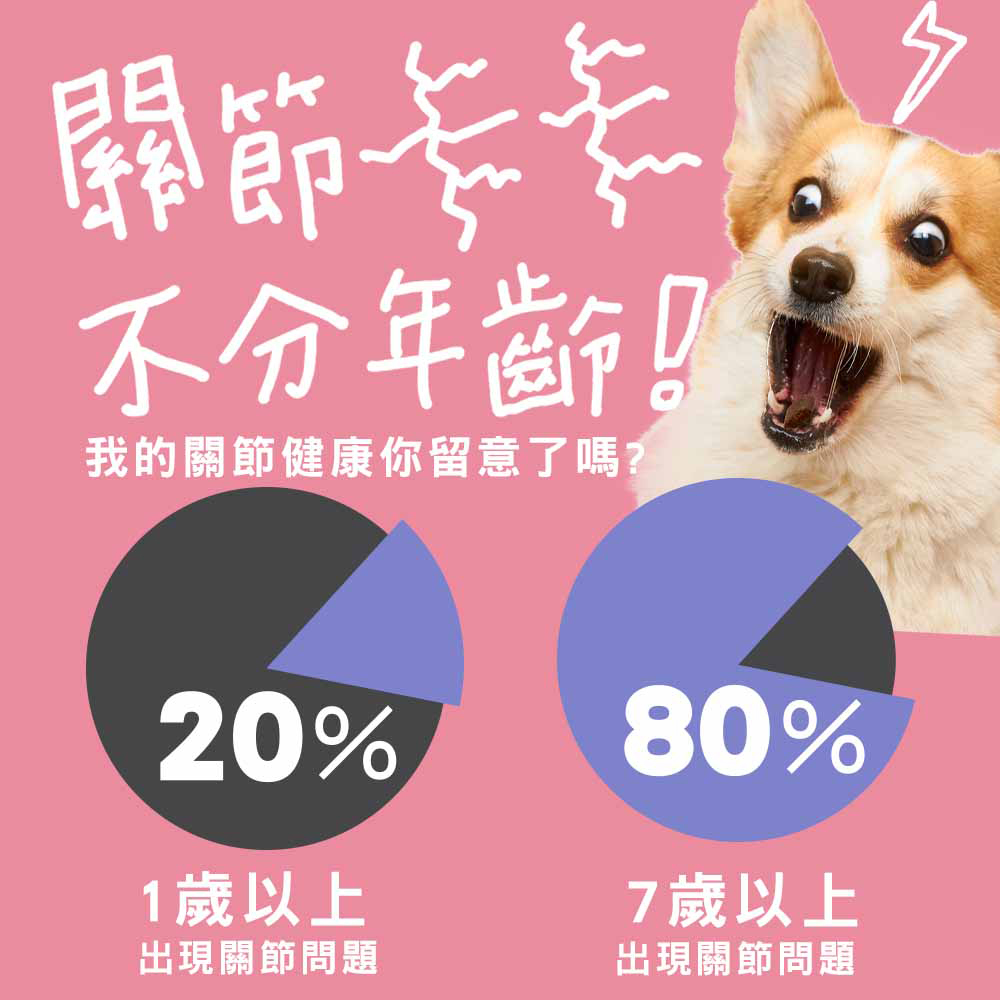 【IN-Plus】關節保健 MSM強化舒緩蛋殼膜配方30顆/罐(全齡犬/狗關節/寵物保健), , large