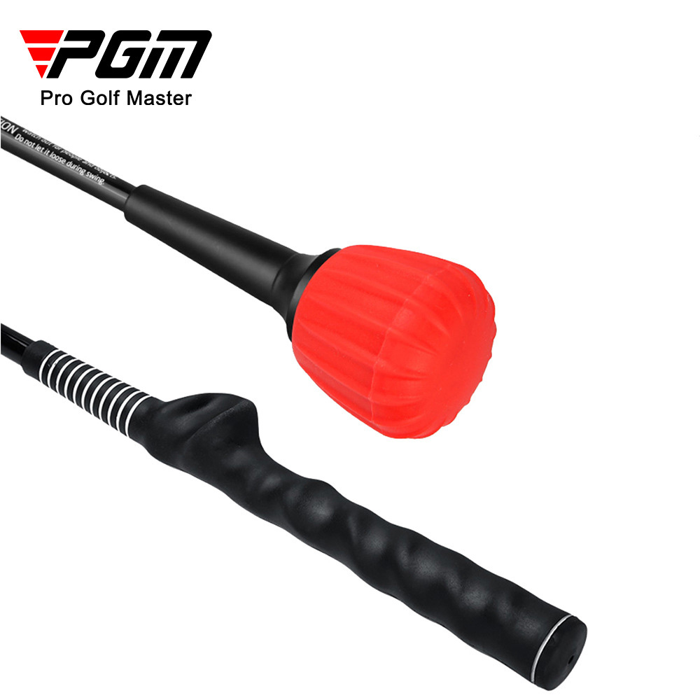 PGM, , large