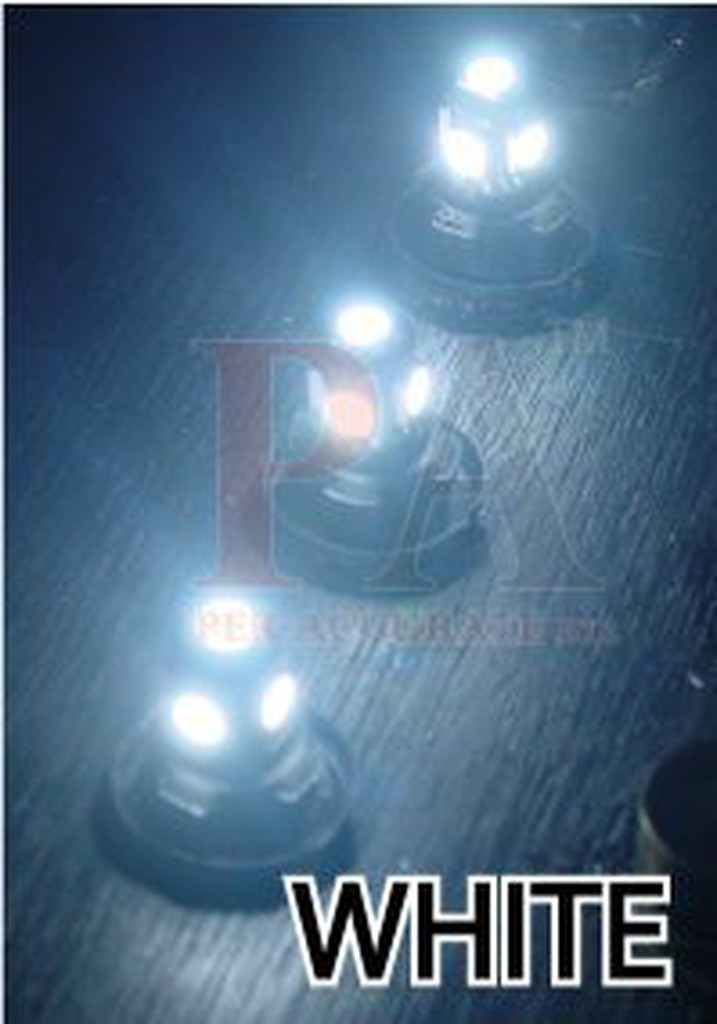 【PA LED】24V T10 5晶 15晶體 SMD LED 超白光 小燈 HINO 大客車 遊覽車 卡車 聯結車, , large