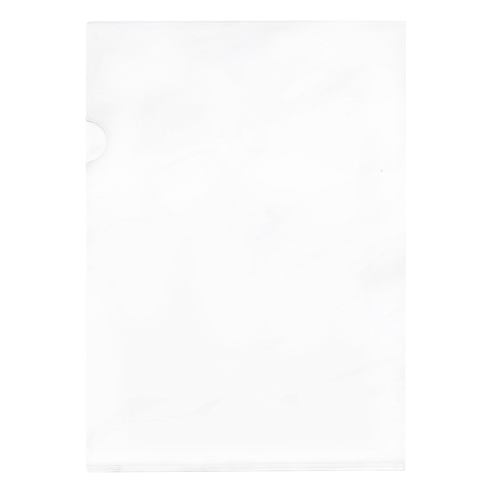 E-310 L Type Transparent File, , large