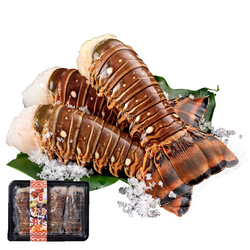 頂級龍蝦身500g, , large