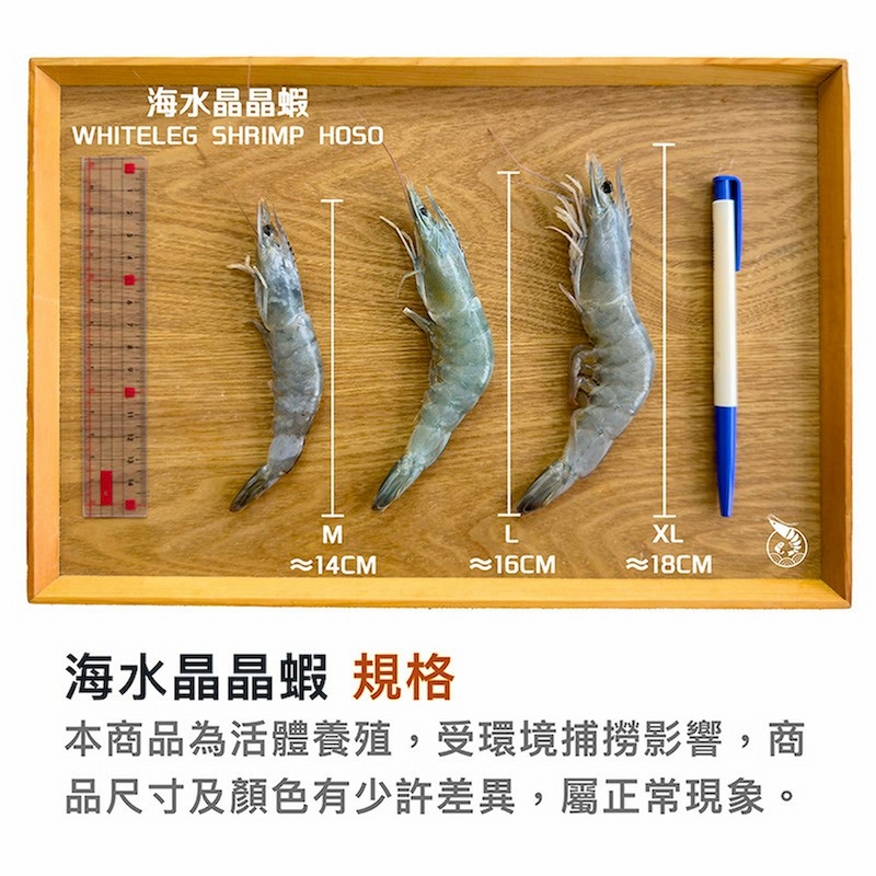 Shrimp, , large
