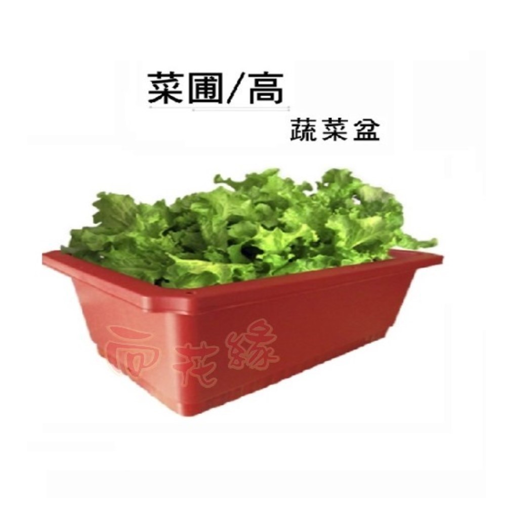 【向花緣】菜圃/菜槽/蔬菜盆 磚紅色 - 長68.5cm * 寬42.8cm * 高23.7cm, , large
