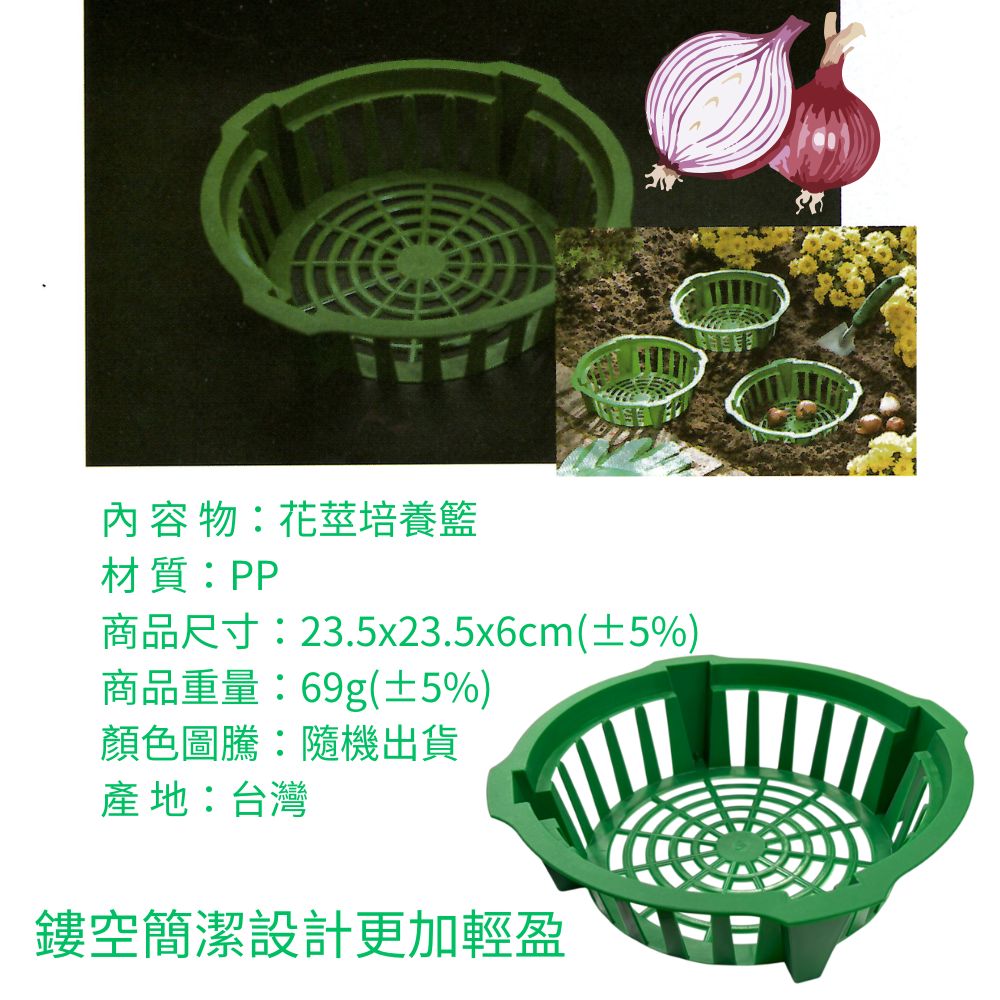GS MALL 台灣製造 花莖培養籃 球莖種植籃 球根花卉籃 花球莖籃 洋蔥植物籃 花球莖碗 植物碗 繁殖托盤, , large