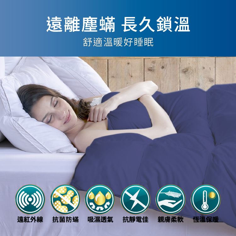 【多利寶寢具】Victoria_日本大和抗菌雙人可水洗被/棉被胎, , large