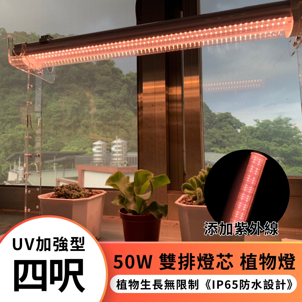【君沛】UV紫外線 4呎 50W 防水植物燈 加強型光譜 三防燈 LED生長燈 多肉顯色 龍舌蘭 抑制徒長 大面積補光, , large
