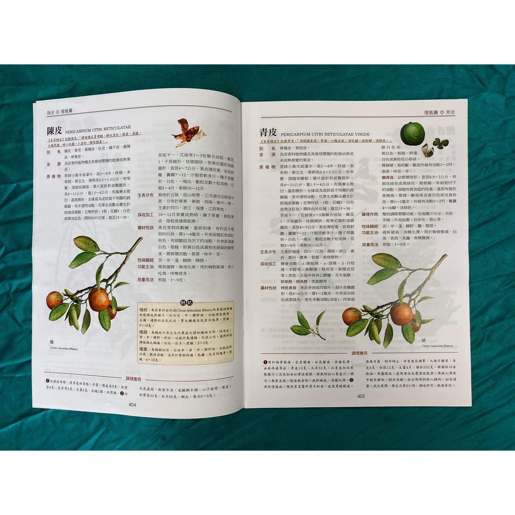 《南門書局》中國中草藥圖典 2冊~~中藥草藥, , large