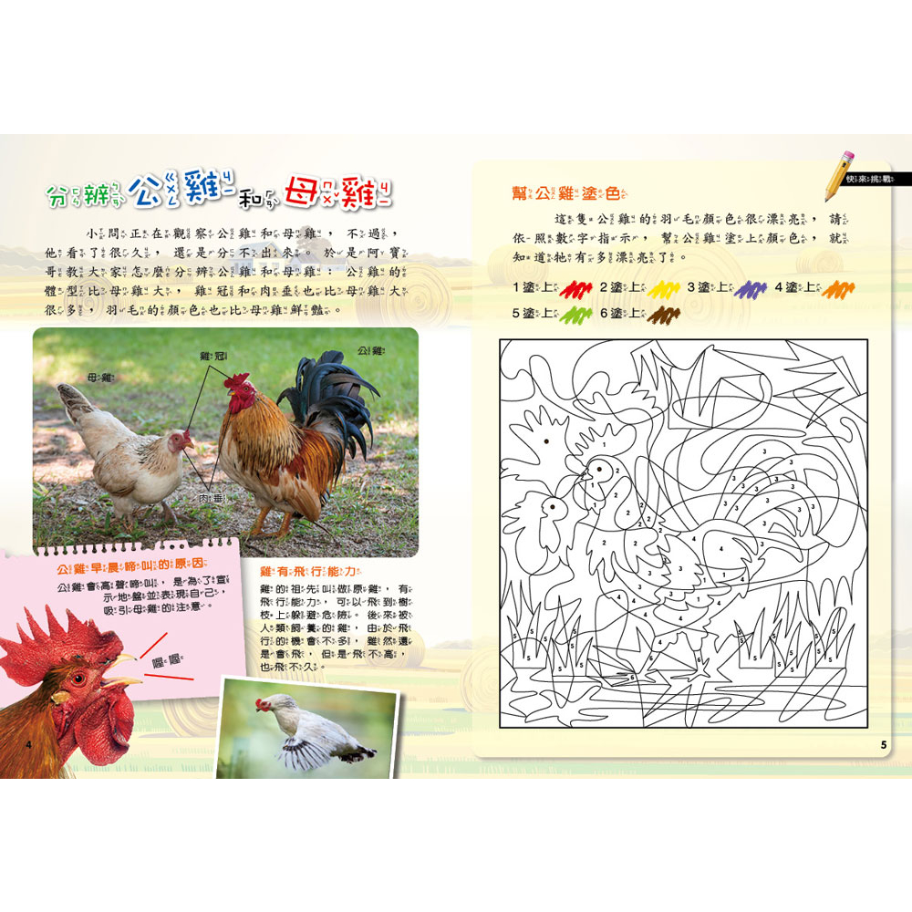[小牛頓]PLAY&LEARN：農場探索 適合5-8歲 平裝全彩 高階遊戲書, , large