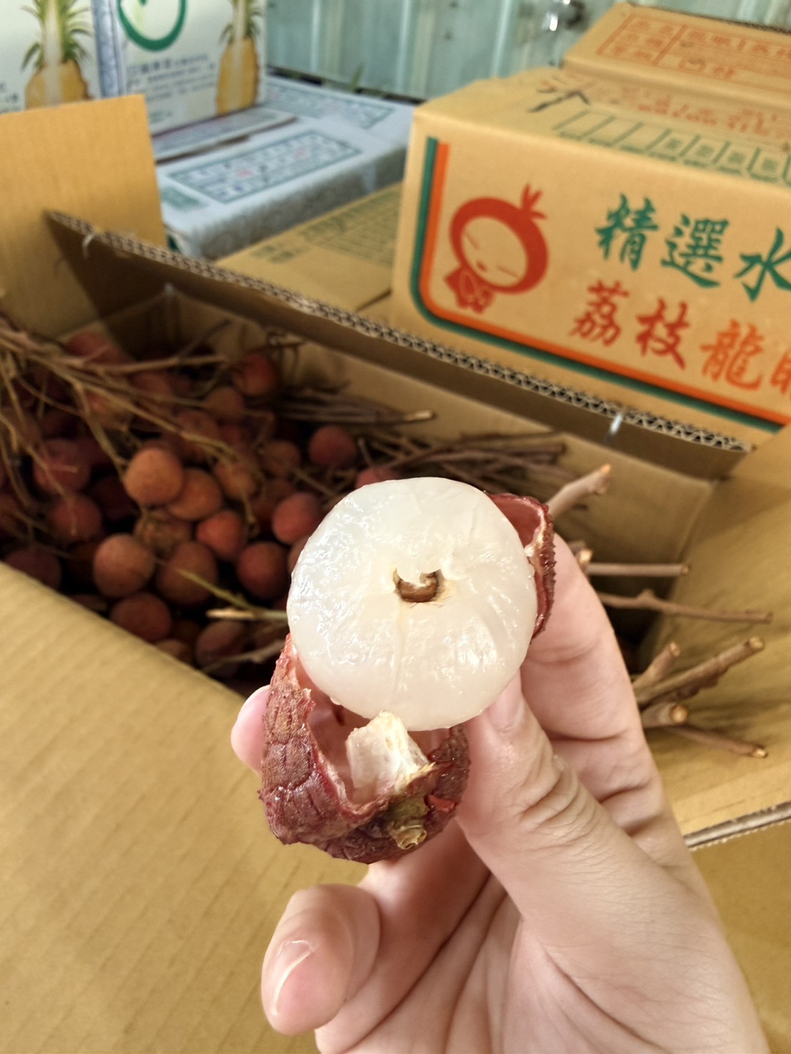 [芯鮮果]台灣嚴選( 黑葉荔枝 ), , large