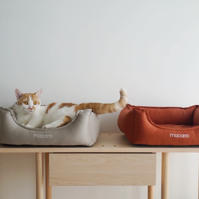 【paipaipets】Latex Pet Bed with cotton sheets - Maple Orange , , large