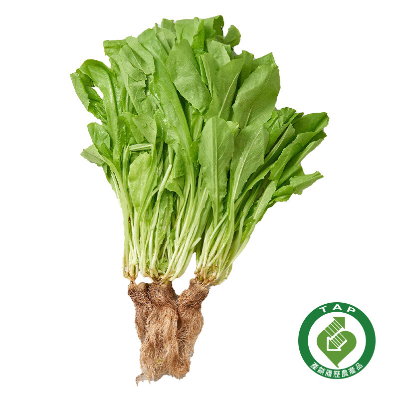 TAP Chinese Lettuce, , large