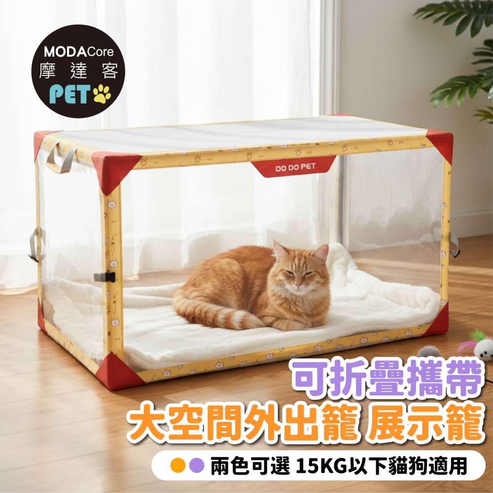 PET, , large